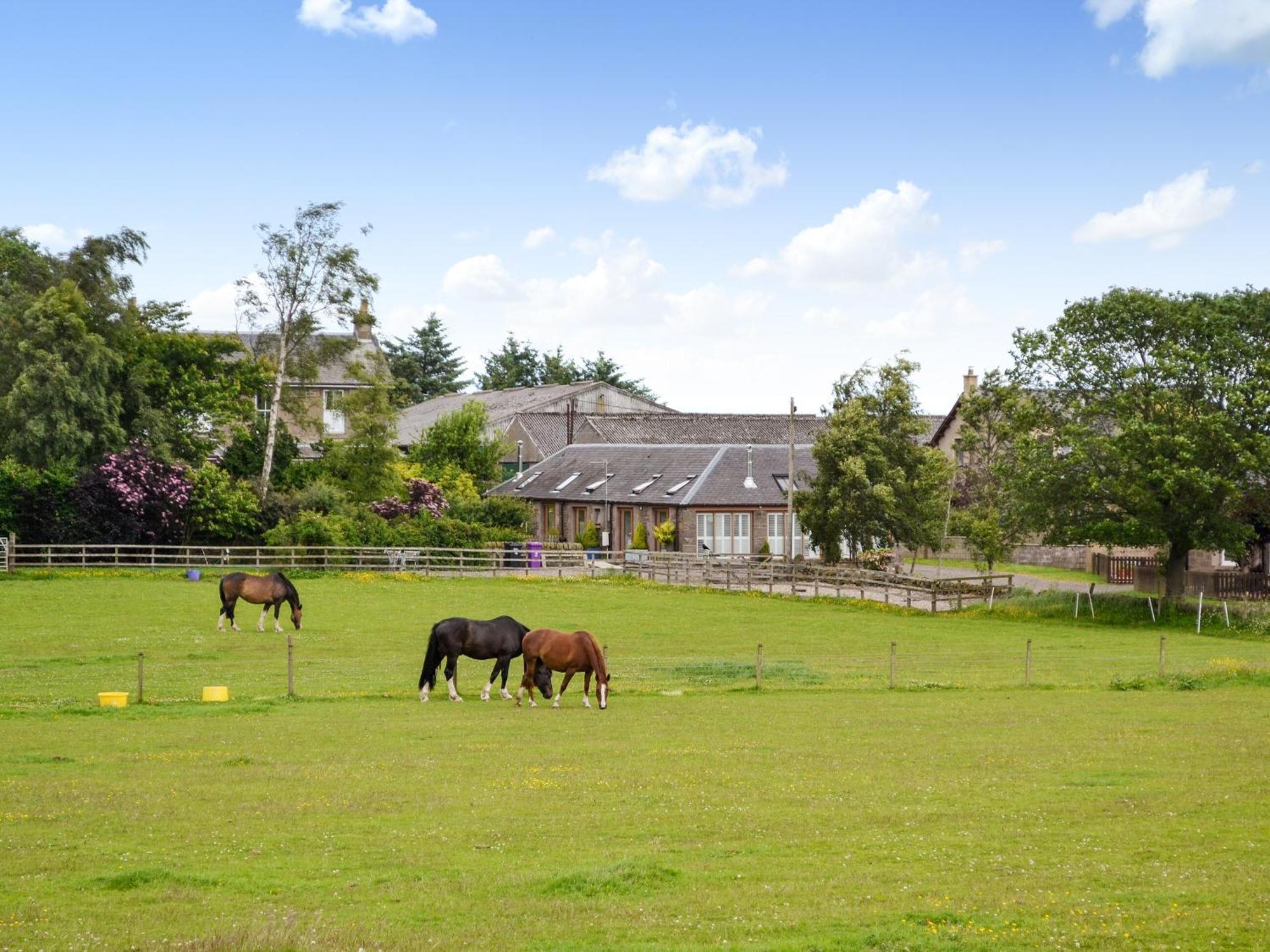 Appletree Cottage Kirkton of Tealing Esterno foto